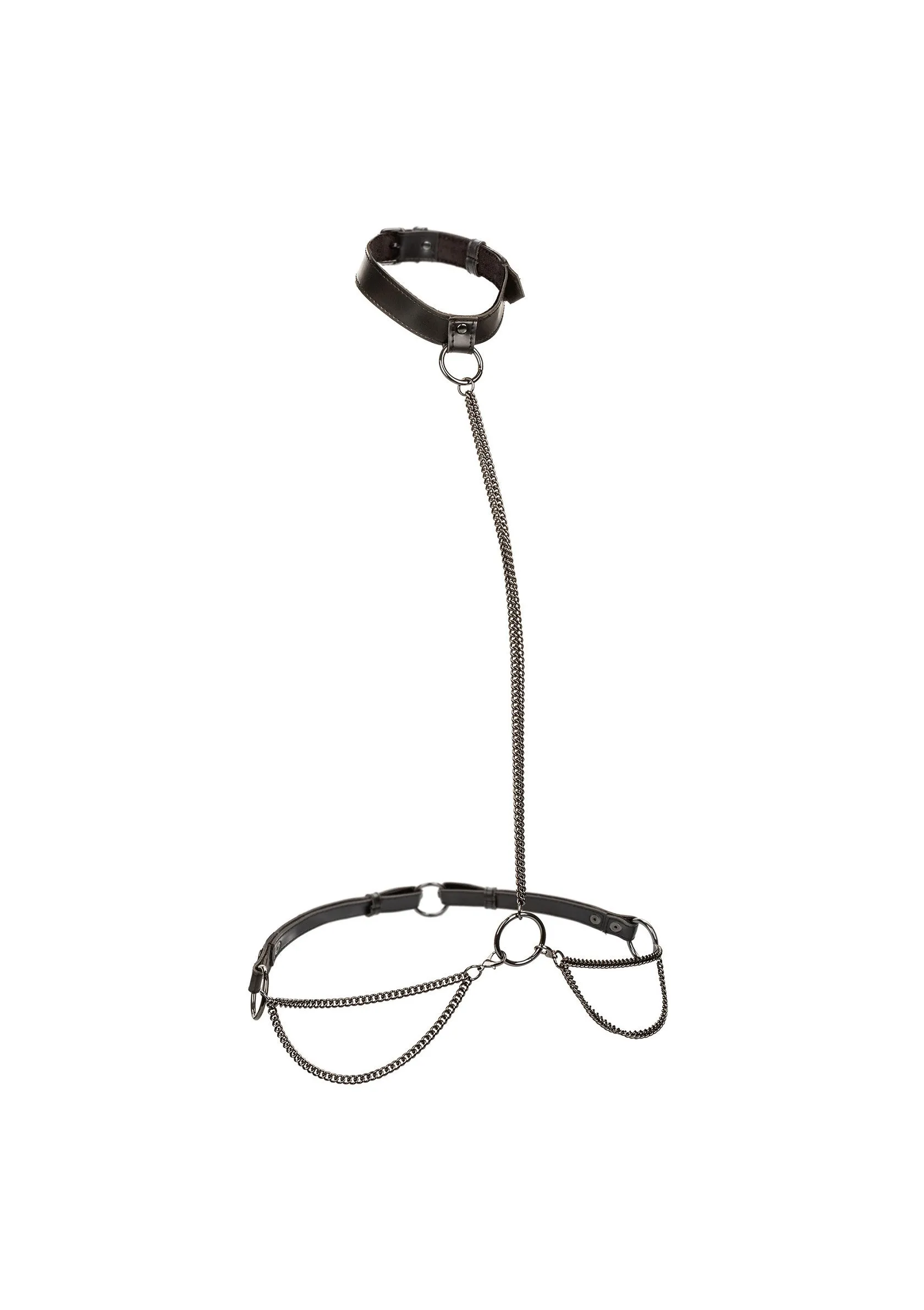 Chain Halter & Collar Plus