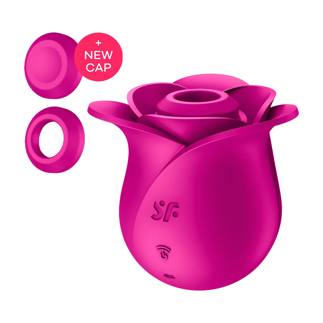 Pro 2 - Modern Blossom - Air Pulse Vibrator - Modern Pink