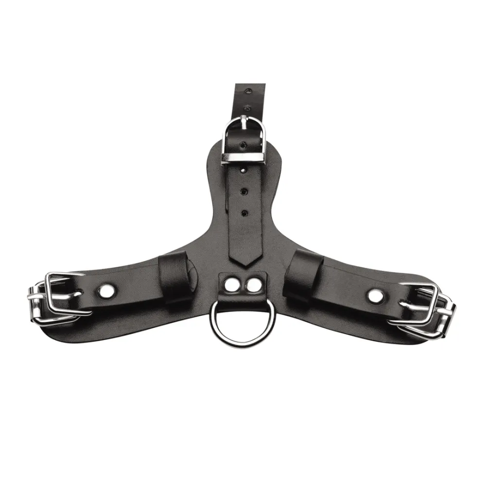 Pup - Puppy Speelmasker + Ademend Ballgag