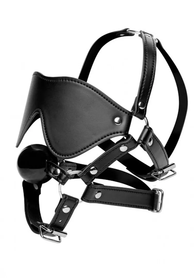 Oogmasker met Ballgag Harness
