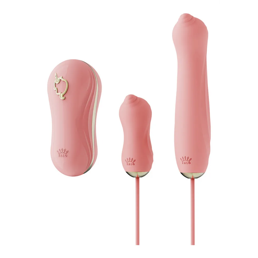 Zuigvibrator met Pomp en Verschillende Opzetstukken