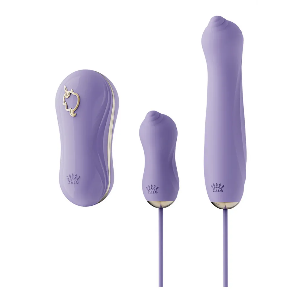 Zuigvibrator met Pomp en Verschillende Opzetstukken