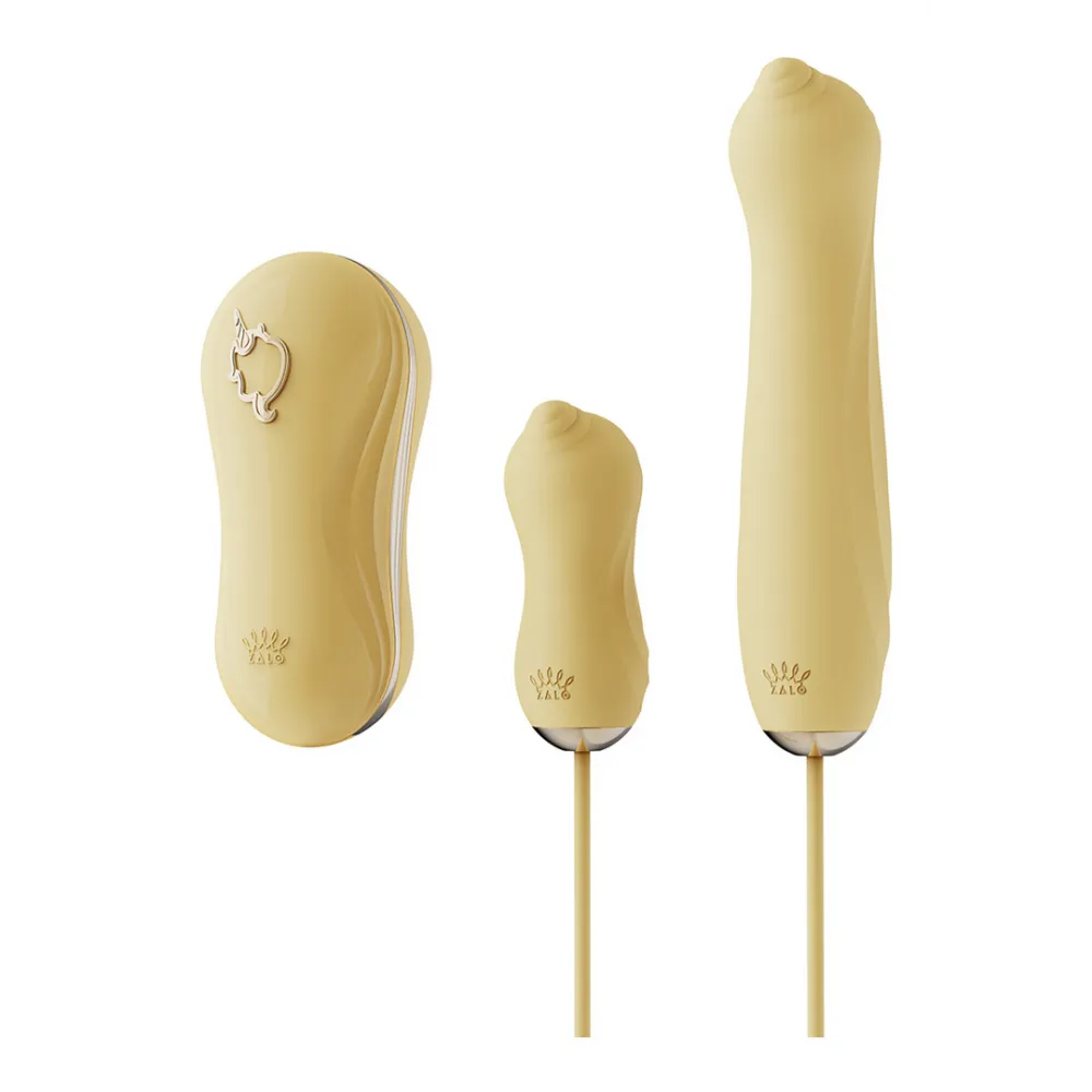 Zuigvibrator met Pomp en Verschillende Opzetstukken