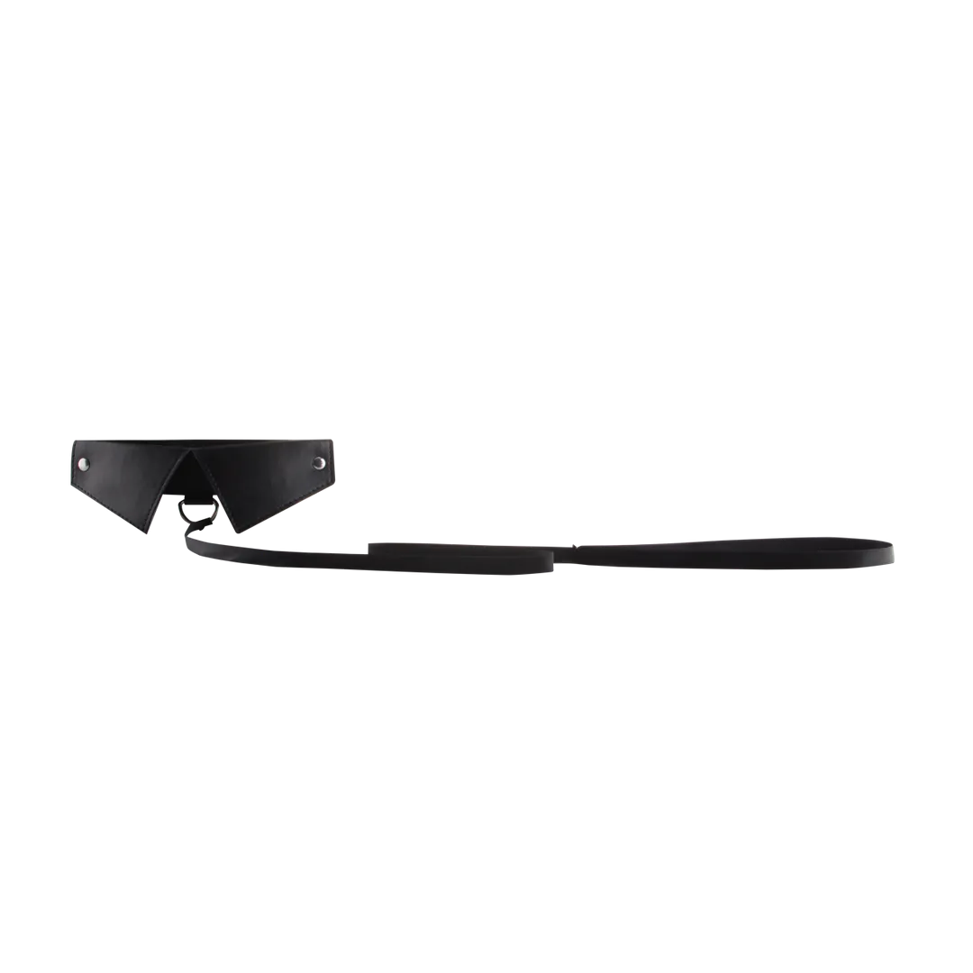 Exclusieve Halsband  Leash