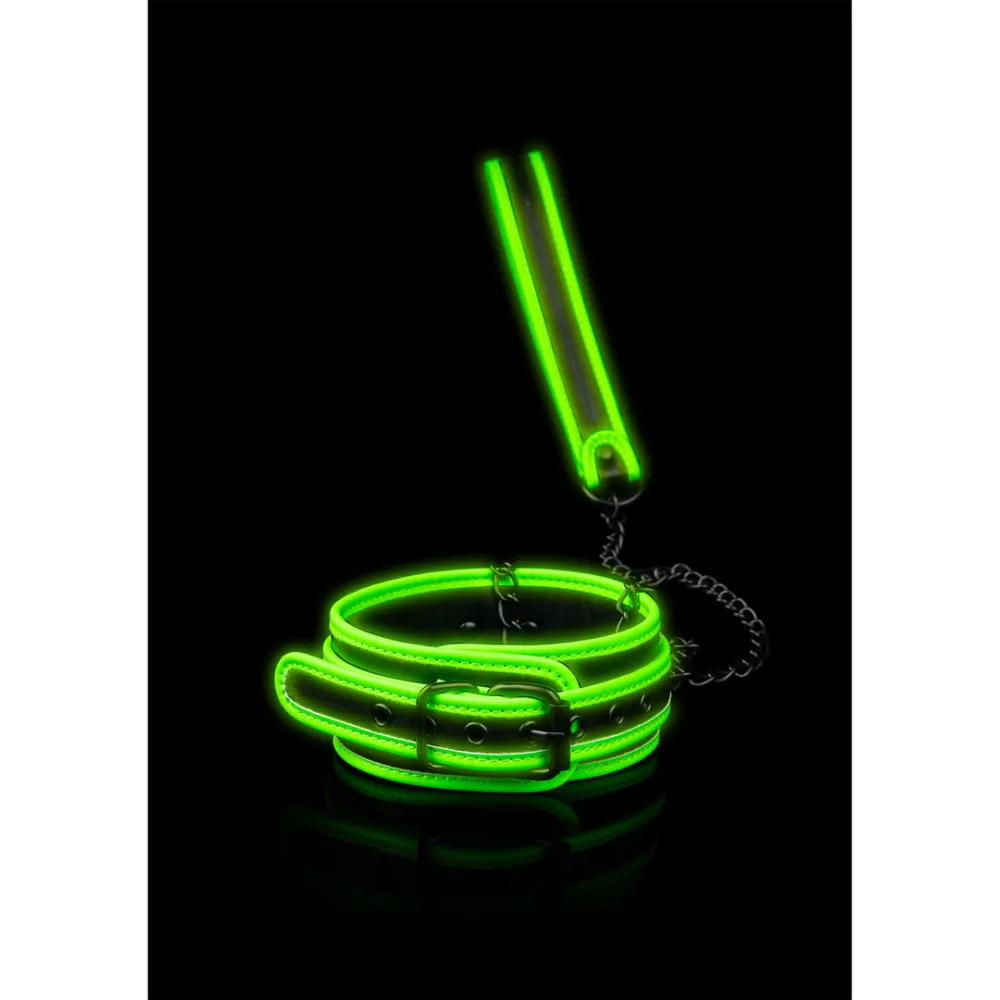 Halsband en Leash - Glo in het Donker