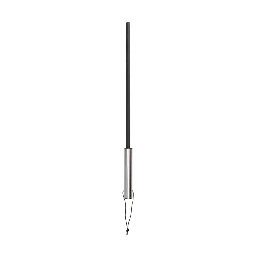 Cane met RVS Handvat