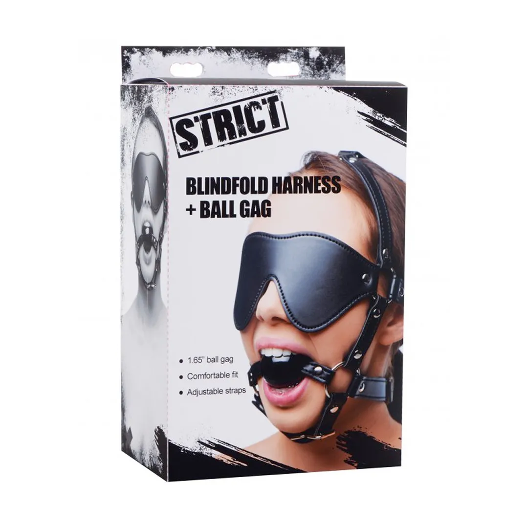 Oogmasker met Ballgag Harness
