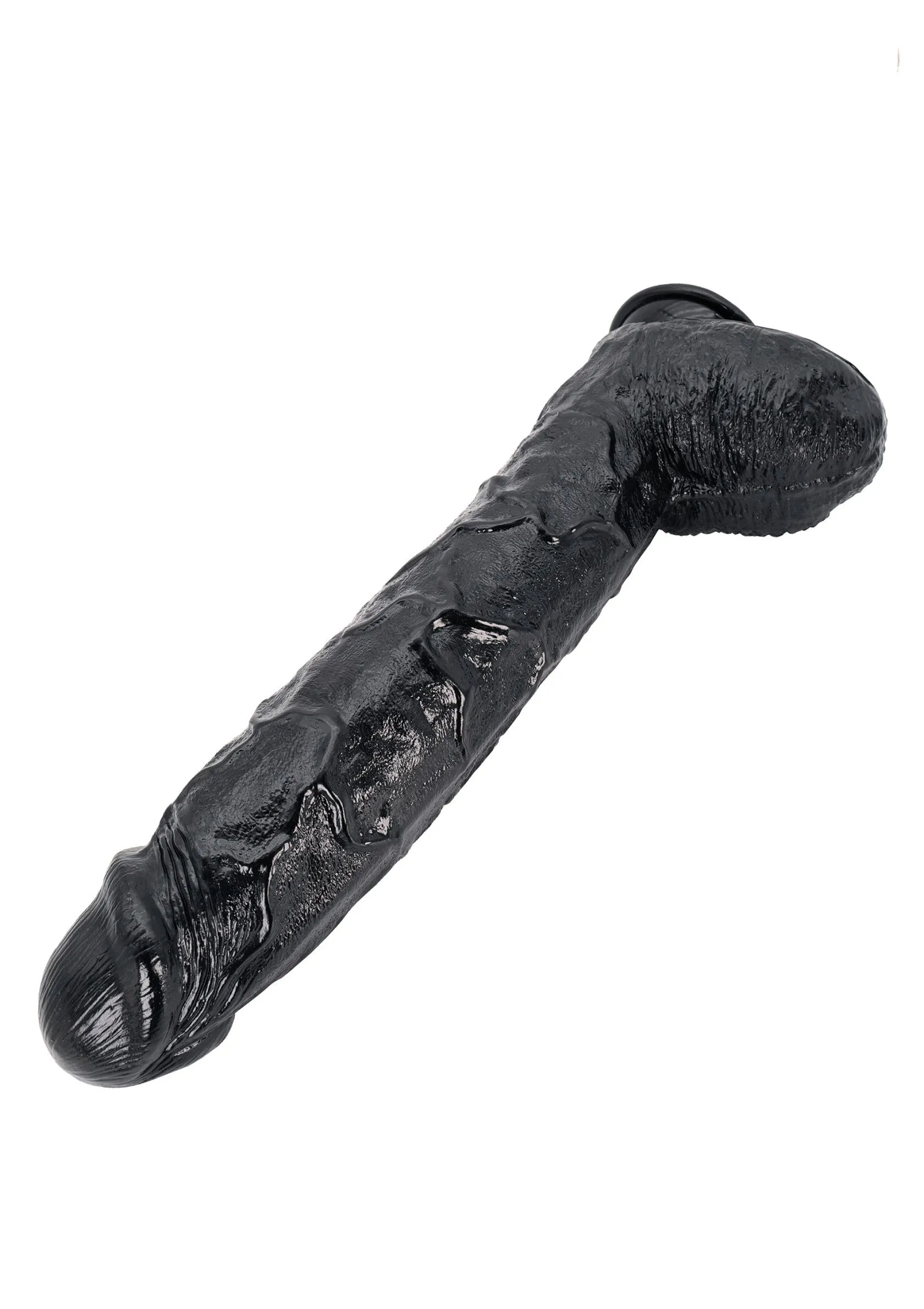 Dong 43 cm