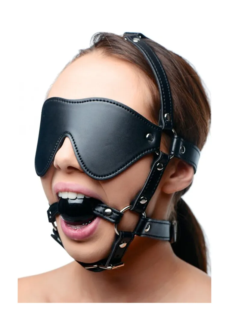 Oogmasker met Ballgag Harness