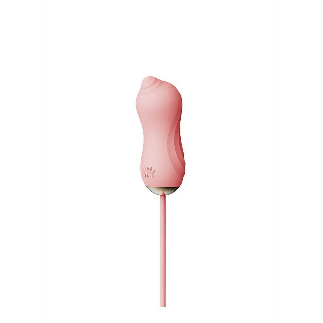 Zuigvibrator met Pomp en Verschillende Opzetstukken