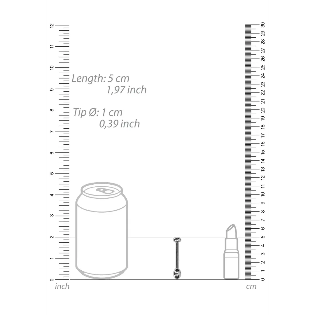 Metaal Penis Plug - 0,4 / 10 mm
