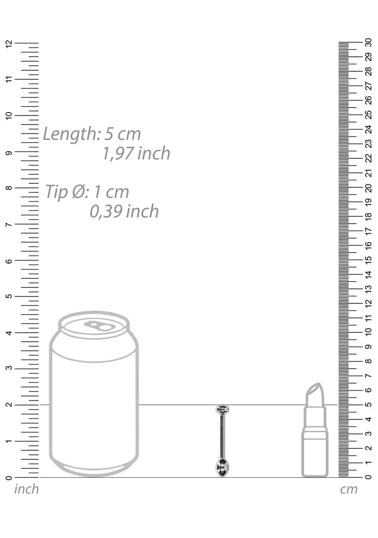 Metaal Penis Plug - 0,4 / 10 mm
