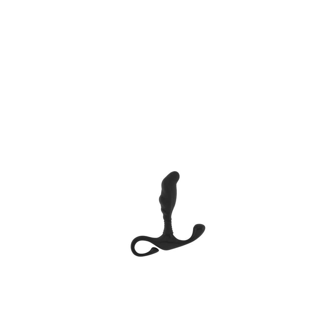 Nr.27 - Prostaat Massager