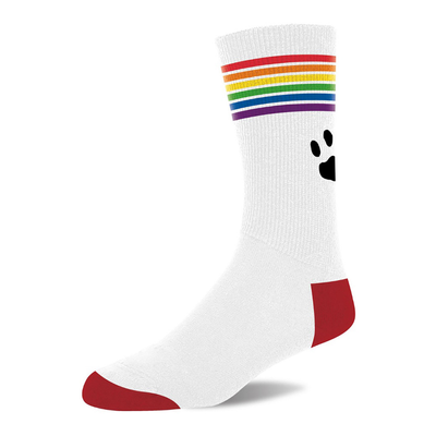Pride Sokken - Wit/Pride