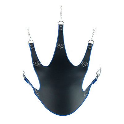 Leren Band met Blauwe Bies 5 Punten