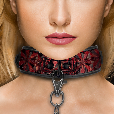 Halsband met Leash
