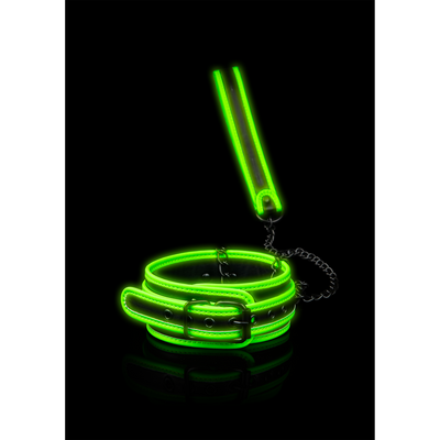 Halsband en Leash - Glo in het Donker